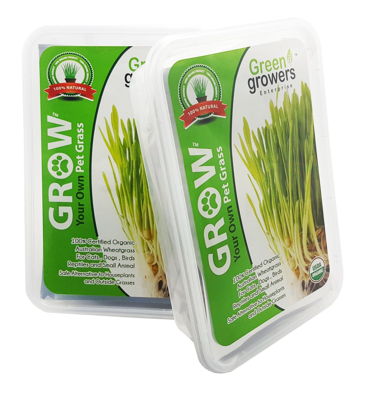 Pet Grass - Cat Grass -  Self Grow KIt